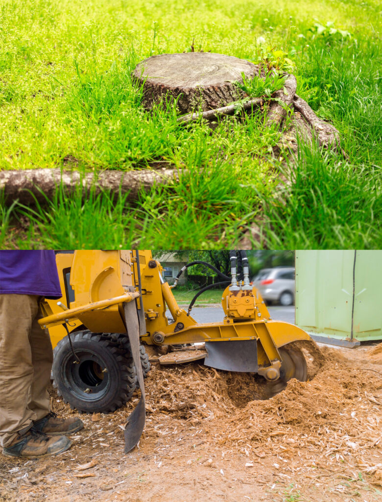 Vaughn's Stump Grinding